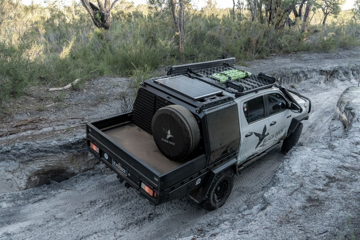 Black Duck Wild Shot 3