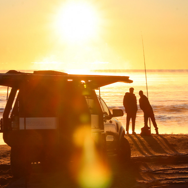 Fishing & Dive